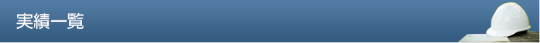 実績一覧